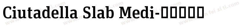 Ciutadella Slab Medi字体转换